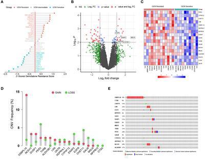 Identification of a chemoresistance-related prognostic gene signature by comprehensive analysis and experimental validation in pancreatic cancer